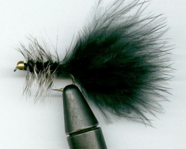 Woolly Bugger