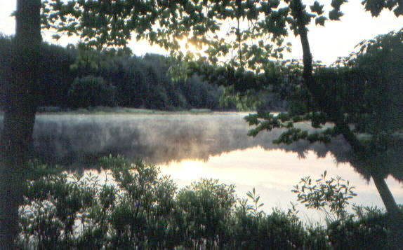 Fretter at Dawn